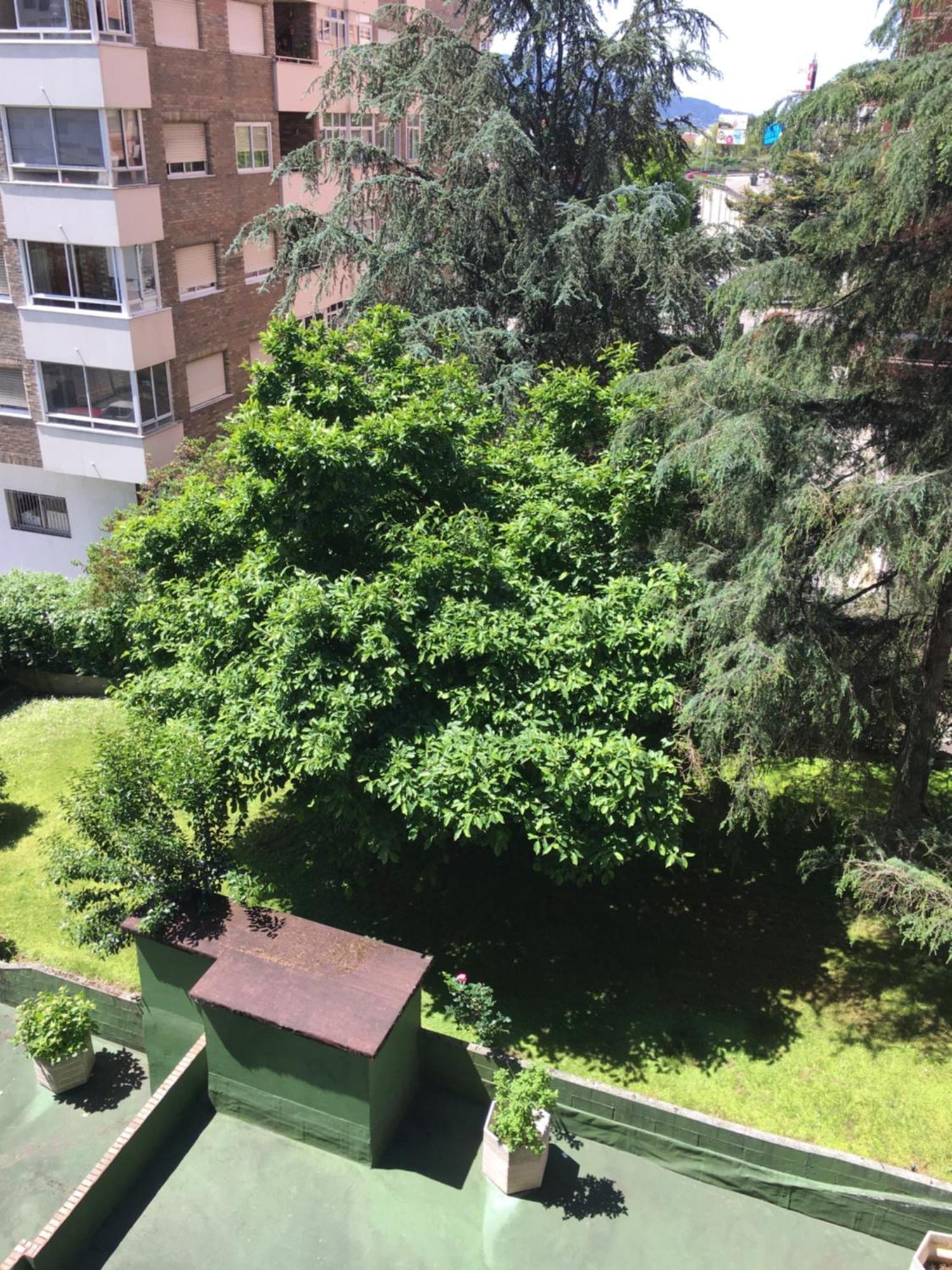 Апартаменты Gaivota Amplio Y Luminoso Con Plaza De Garaje Виго Экстерьер фото